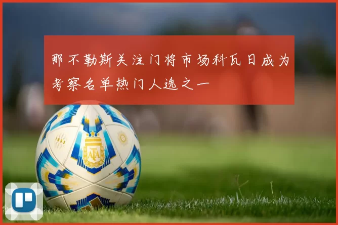 那不勒斯关注门将市场科瓦日成为考察名单热门人选之一